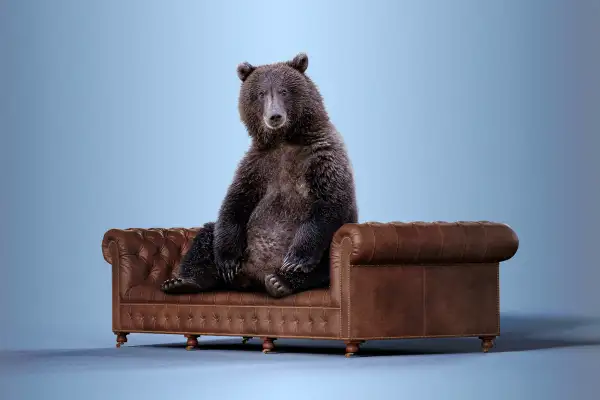 Photo collage of a bear sitting on a couch