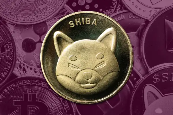 Shiba Inu crypto coin